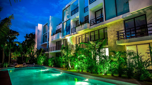 Amphibia Real Estate Tulum