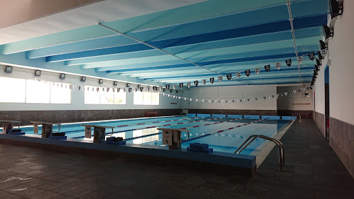 ALPAGO NUOTA PISCINA DI TAMBRE - Thumbnail