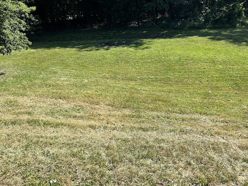 Green Hornet Lawn Service & Home Maintenace LLC - Thumbnail