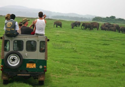 Photos of Mihiran Travels and Tours