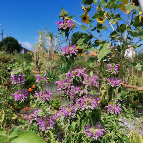 Au bout du chemin privé toki hobian, accès piéton uniquement, 15 Quinquies Av. de Gramont, 64200 Biarritz