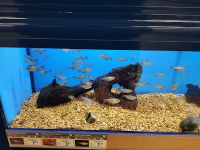 Petco