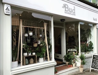 Bud Houseplants