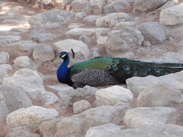 Minoan Palace of Knossos