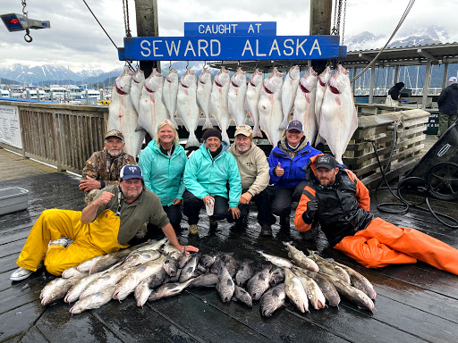 Current Affair Charters - Visual