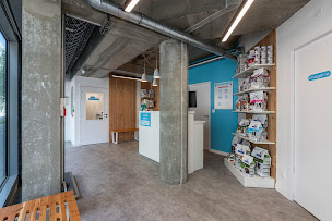 Photo n°17 de Cabinet Vétérinaire Argos Nantes République à Nantes (Vétérinaire)