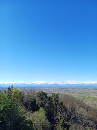 Cereseto - Visual