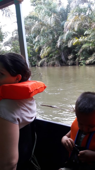 Photos of Cerro De Tortuguero