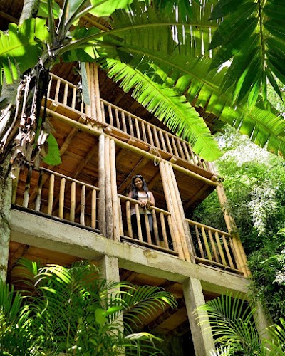 Photos of Bel&eacute;n Vivero Caf&eacute;