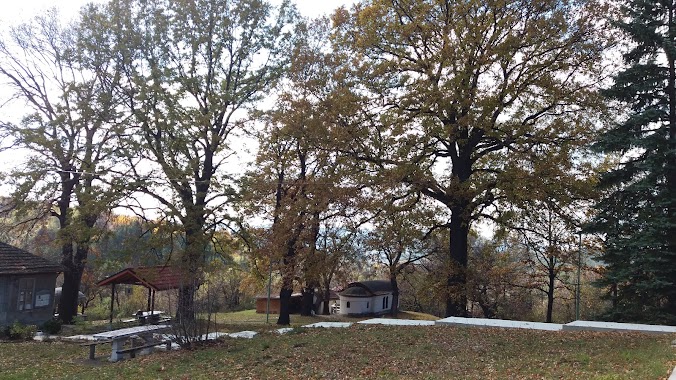 Vladayski monastery Saint Petka, Author: антония георгиева