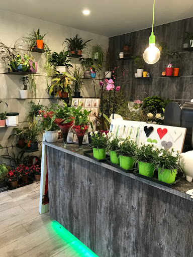 Lieve (Bloemenboetiek) - Thumbnail