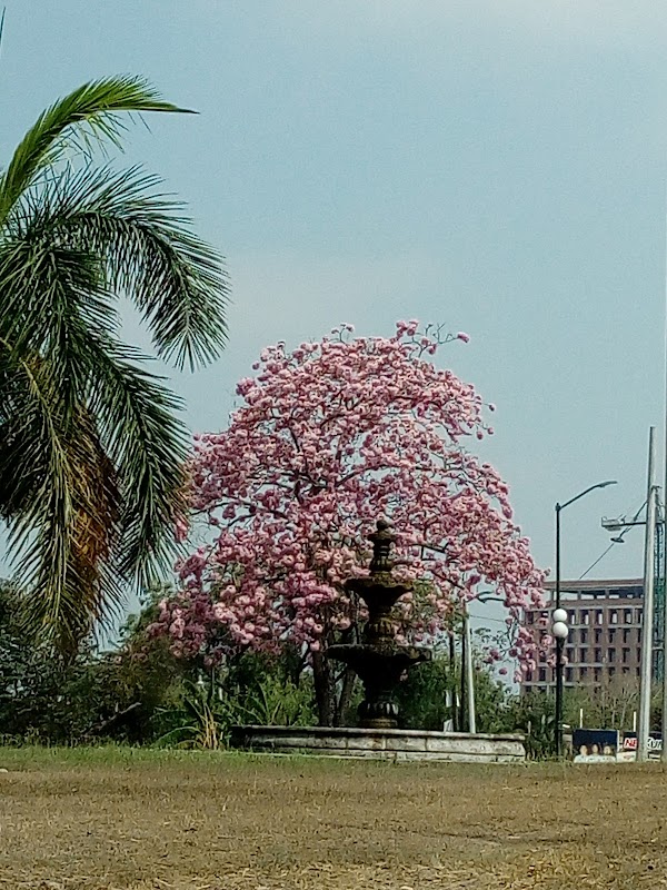 Racquet Club de Tampico ., Av. Faja de Oro 510, Petrolera, 89110 Tampico,  Tamps., Mexico