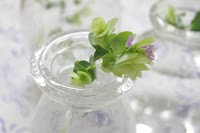 ボブクラフト 静岡物流センター