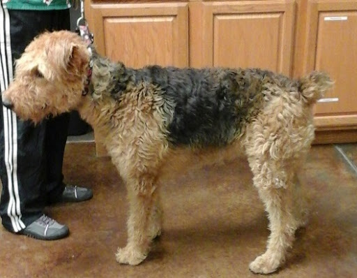 Riverstone Veterinary Hospital - Thumbnail