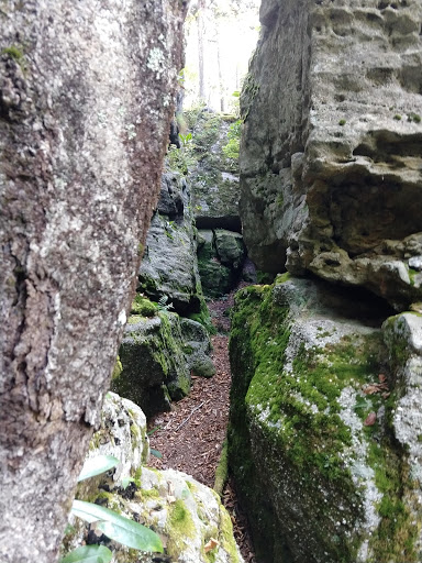 Bear Heaven Recreation Area