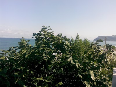 Photos of Aeg Pansiyon