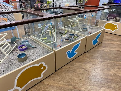 Petland Lancaster