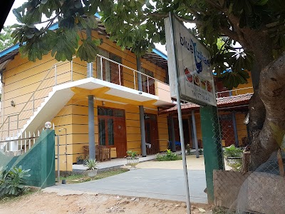 Photos of Blue Whale Nilaveli
