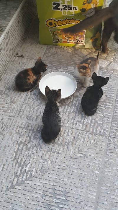 Photos of Acıbadem Pet Shop