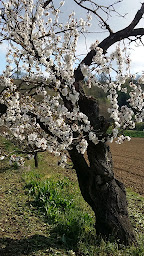 Photo n°13 de Les Sens'Elles à Valence (Centre de bien-être)