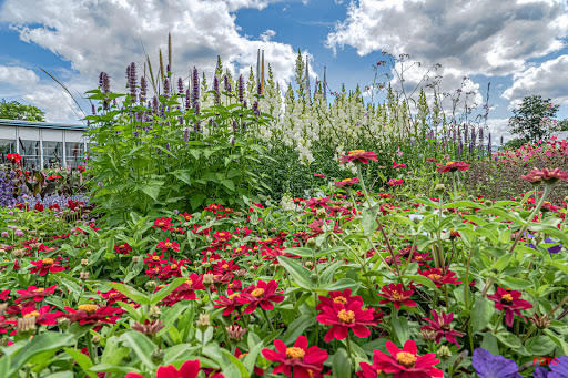 egapark Großes Blumenbeet - Visual