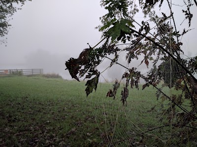 Photos of Pursuit Farms