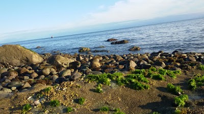 Photos of Isla Puluqui