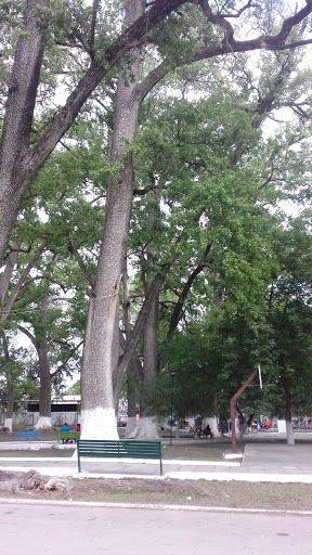 Plaza Pedro José Méndez - Thumbnail