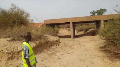 Photos of Laba Forest