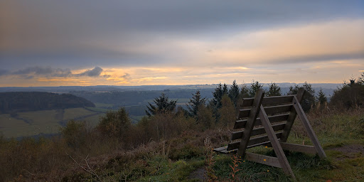 Raptor Viewpoint - Visual