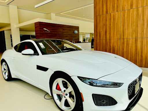 Jaguar Frisco - Thumbnail
