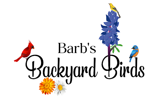 Barb's Backyard Birds