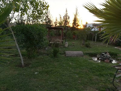 Photos of El khayma