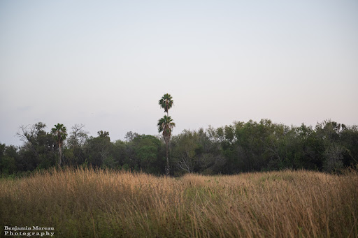 Willow Lakes - Visual