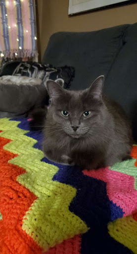 Prairie East Veterinary Clinic - Thumbnail