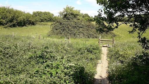 National Trust - Sutton Lane Meadows Gallery - United Kingdom