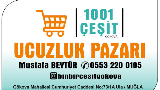 BİNBİR ÇEŞİT GÖKOVA