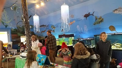 Glen Echo Park Aquarium