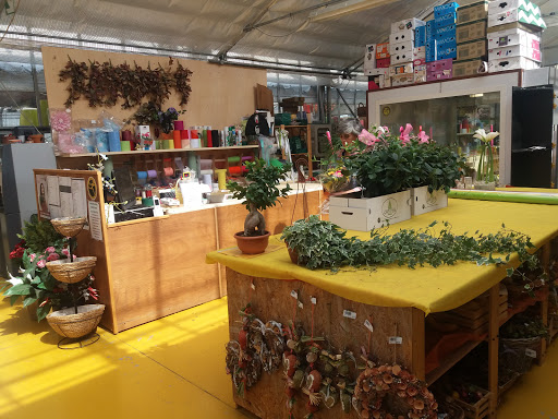 Il Garden