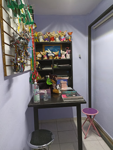 Veterinaria El Mundo del Chihuahua