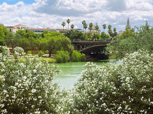 Lacroix International Properties Gallery - Spain