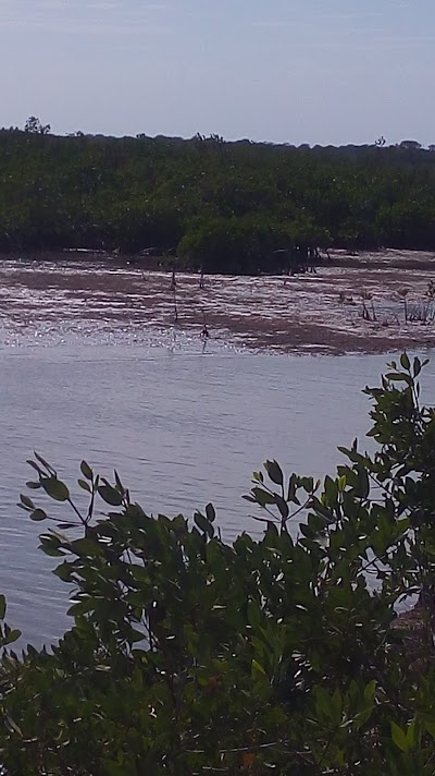 Photos of Tides Beach Resort