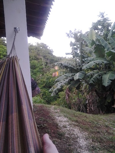 Photos of Hotel Three Monkeys