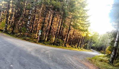 Hamlet Cemetery