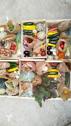 Photo n°6 de Ferme de Kerverec à Ploeren (Maraîcher)