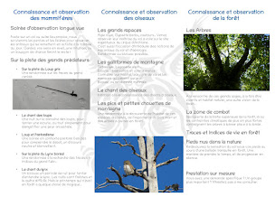 Photo n°8 de Arbre Nature et Bois à Presle (Service d'élagage)