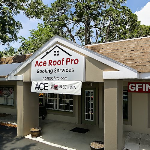 Ace Roof Pro