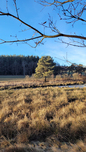 Schwemmteiche - Visual