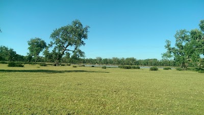 Photos of Forest Ma&acirc;mora