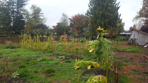 Linfield Garden - Visual